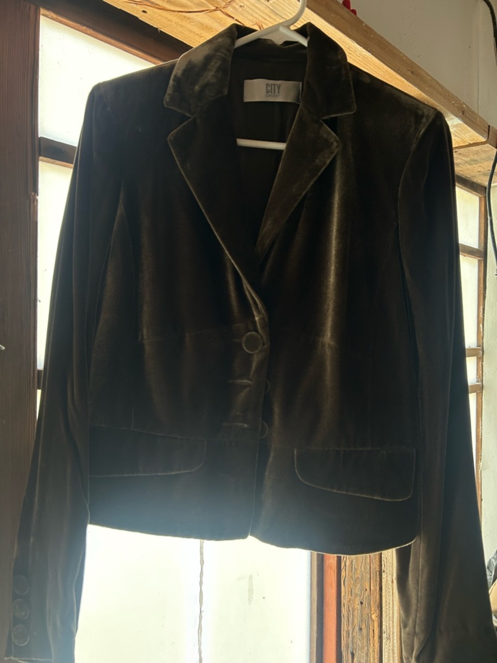 DKNY Dark Brown Velvet Blazer